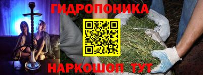 дживик Ставрополь