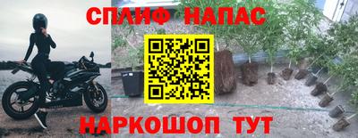 дживик Ставрополь