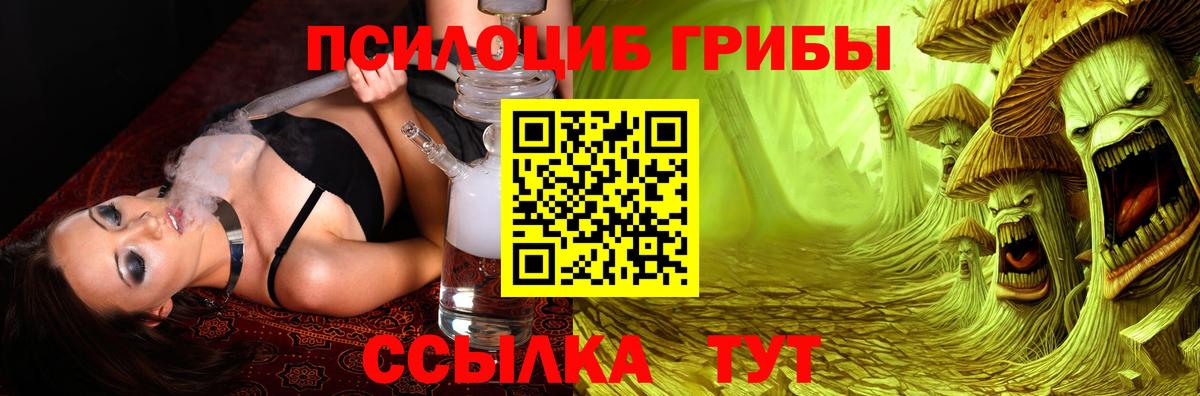 Галлюциногенные грибы MAGIC MUSHROOMS  Галлюциногенные грибы Cubensis  Ачхой-Мартан  Вход с VPN 